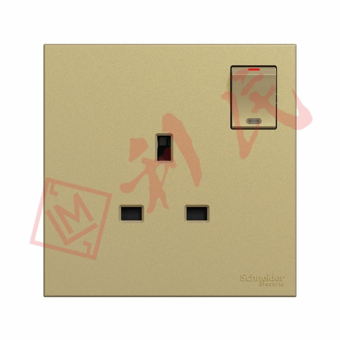 施耐德 AvatarOn C 13A 單位連保護門有掣插座