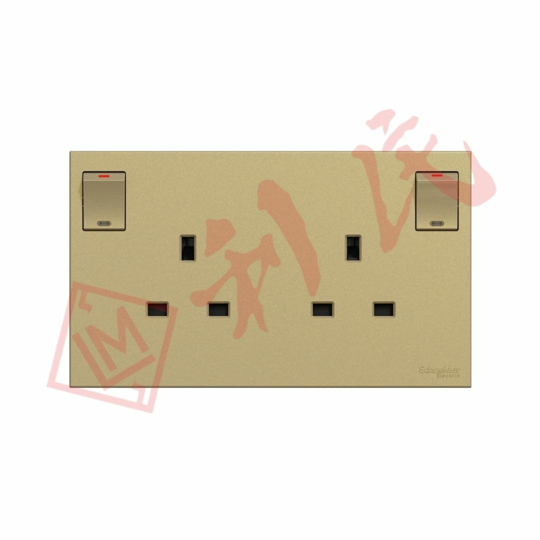 施耐德 AvatarOn C 13A 兩位連保護門有掣插座