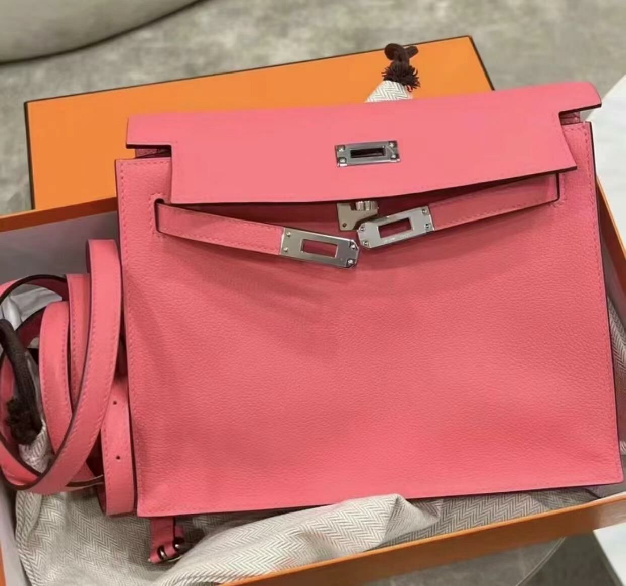 Kelly danse 8W rose azalee ck swift B