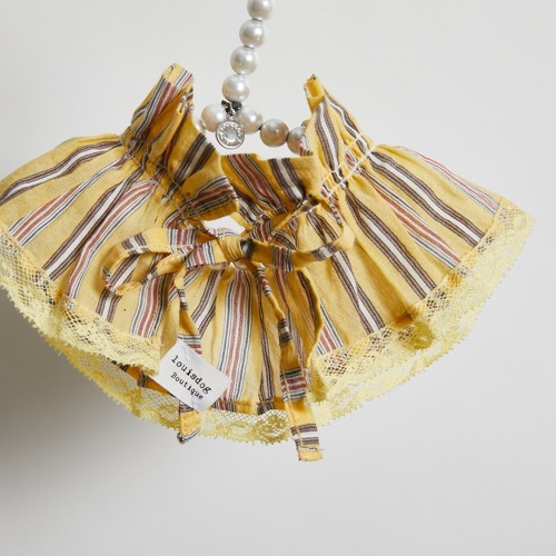 Louisdog 太陽條紋領圍