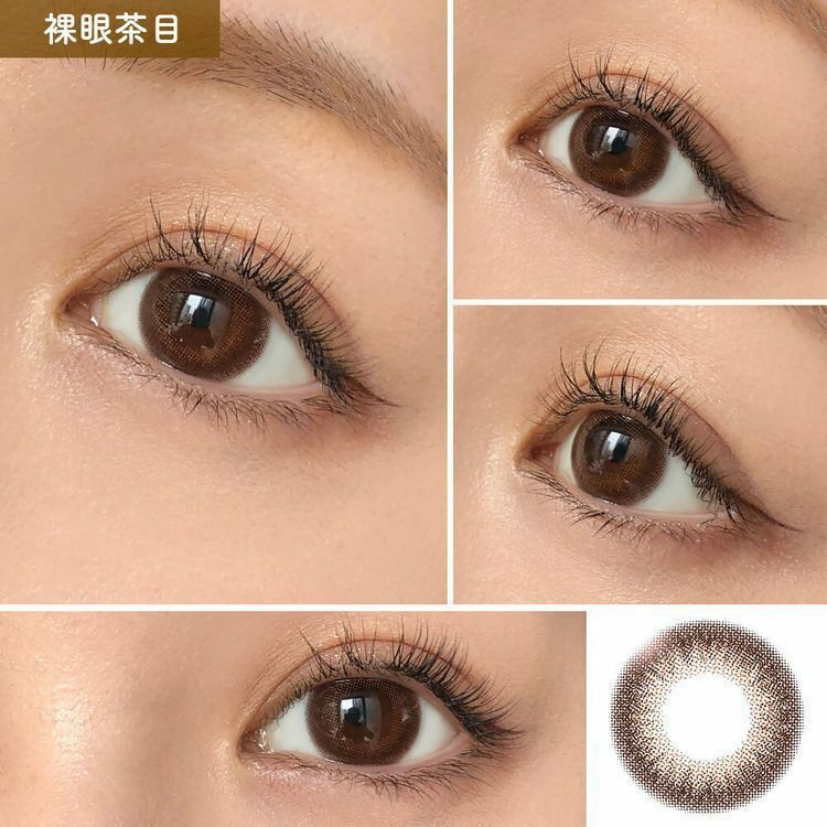 Honey Drops 1 Day Pico Brown 日拋有色彩妝隱形眼鏡｜每盒10片