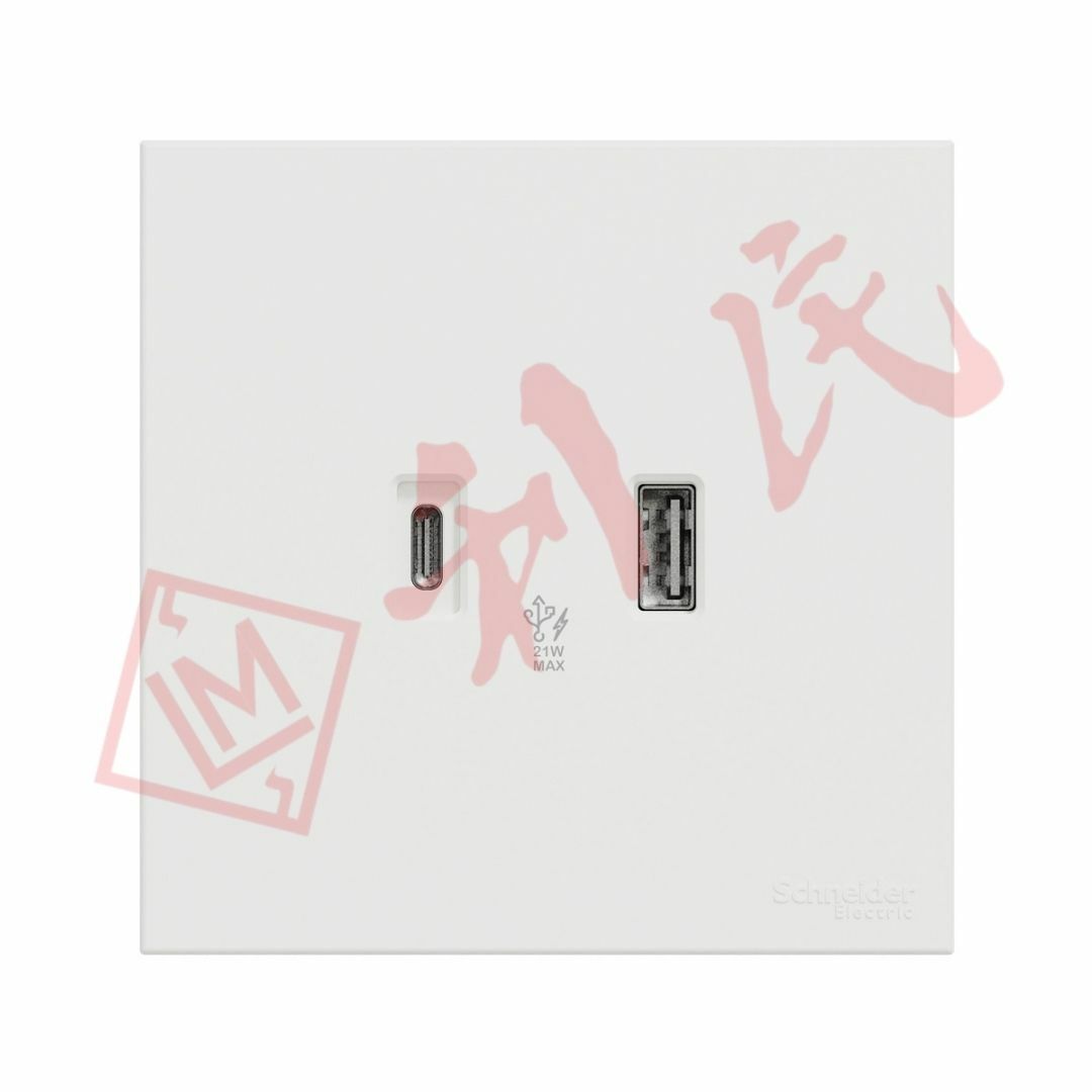 施耐德 AvatarOn C 兩位Type A+C PD+QC3.0 USB充電插座