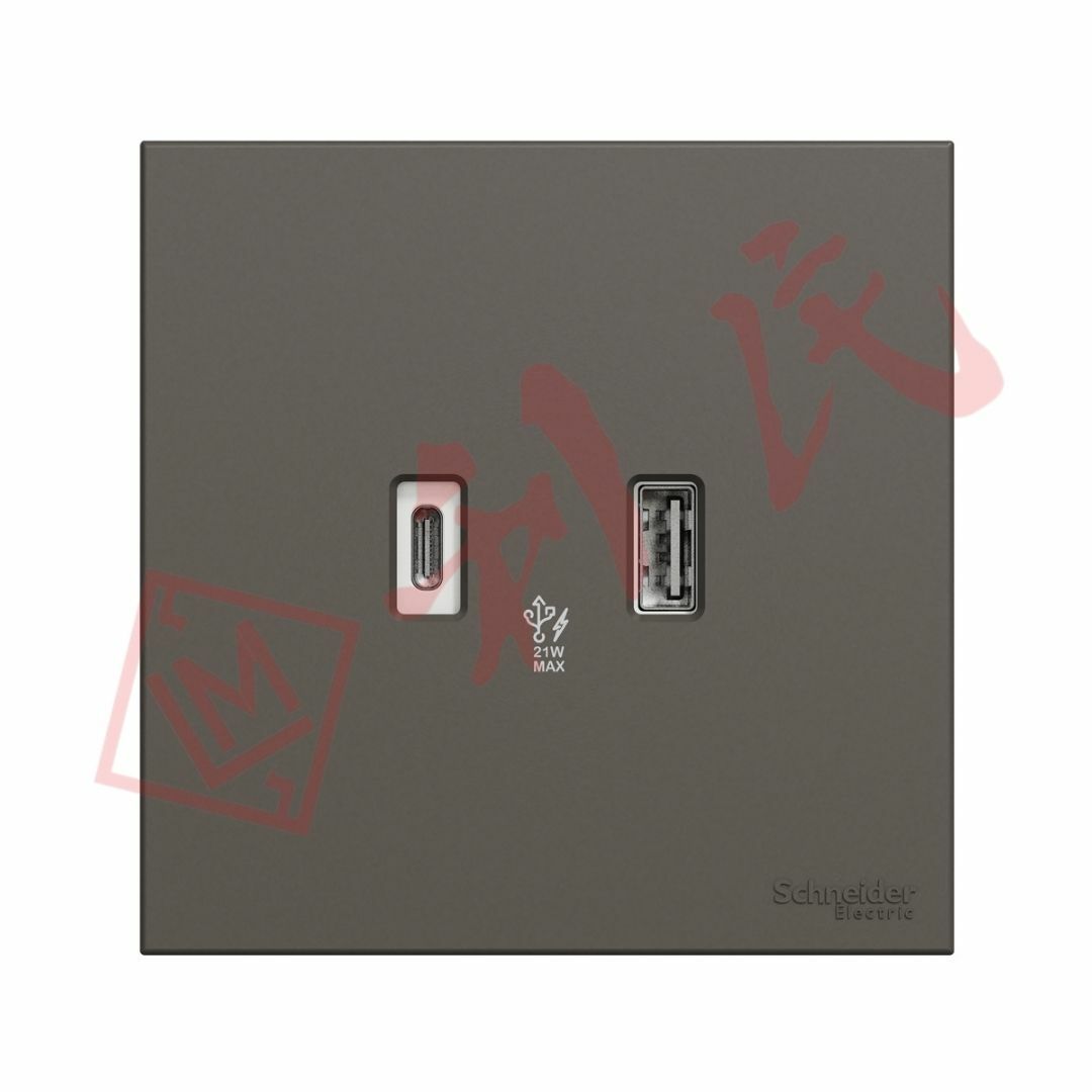 施耐德 AvatarOn C 兩位Type A+C PD+QC3.0 USB充電插座