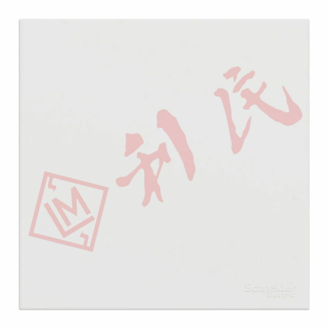 施耐德 AvatarOn C 單位空白掣面