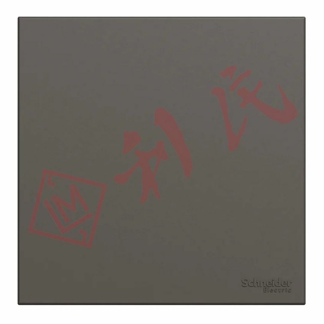 施耐德 AvatarOn C 單位空白掣面