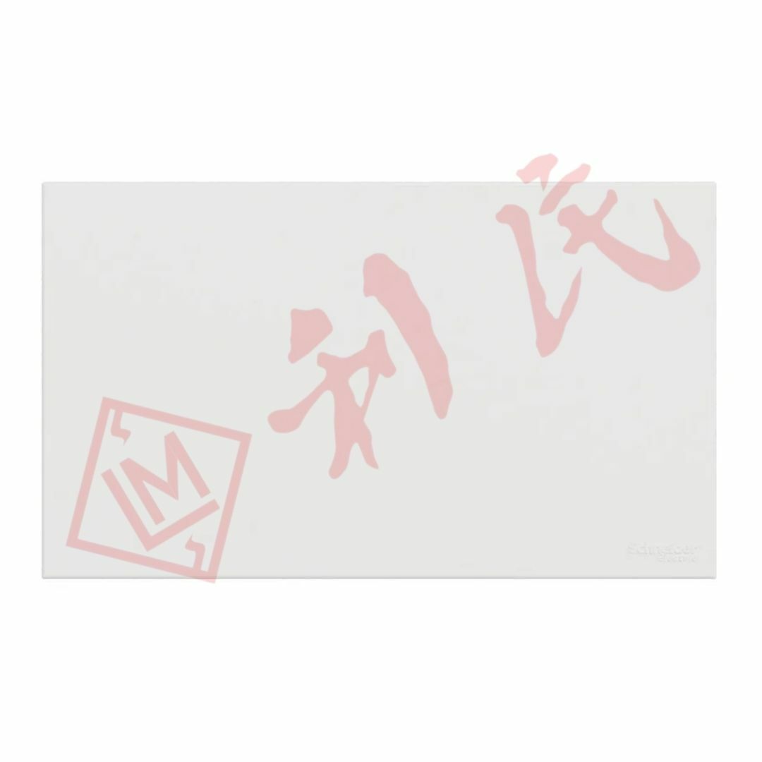 施耐德 AvatarOn C 兩位空白掣面