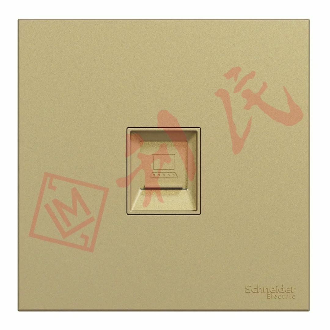 施耐德 AvatarOn C 單位RJ45 6類數據插座, Keystone面板 備防塵活門