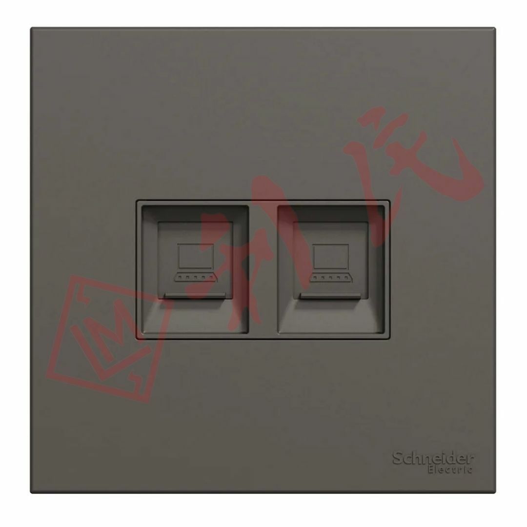 施耐德 AvatarOn C 兩位RJ45 5e類數據插座, Keystone面板 備防塵活門