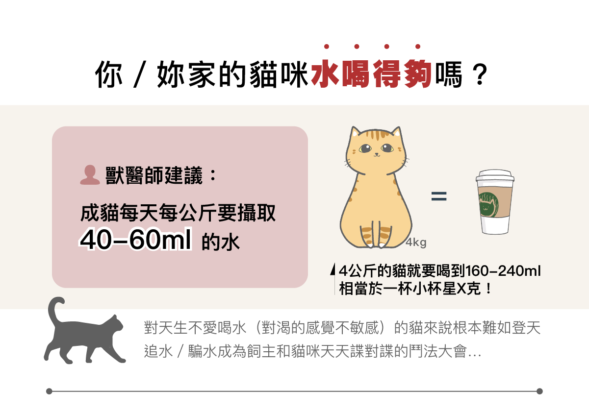 貓咪不愛喝水