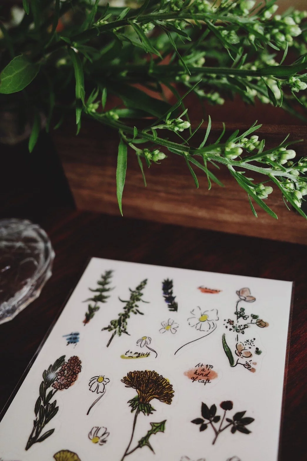 花草轉印貼紙組 春夏草花｜什物A kind of cafe 台灣