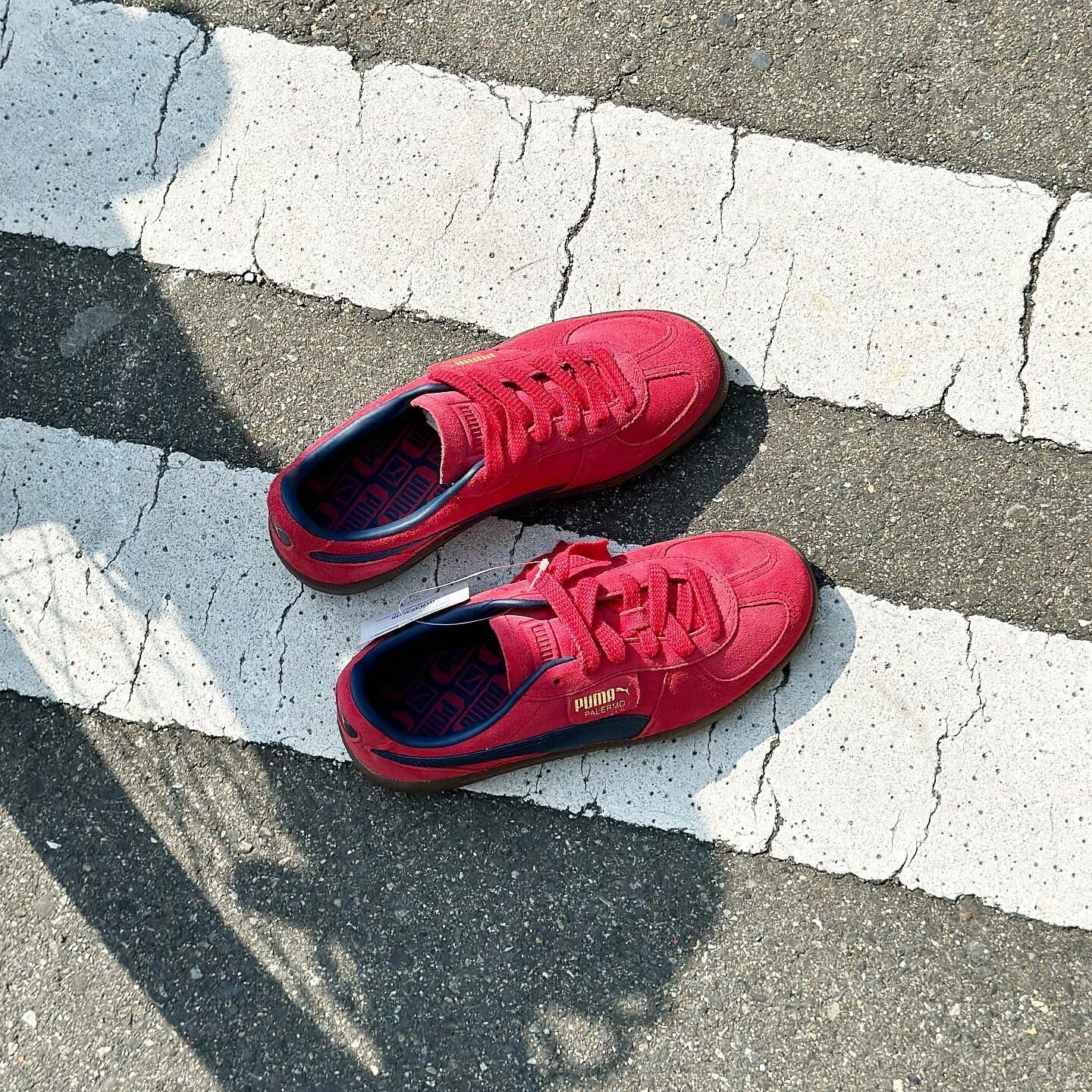 PUMA Palermo 日本新發售 勃根地酒紅 焦糖底 復古 德訓鞋 39646309