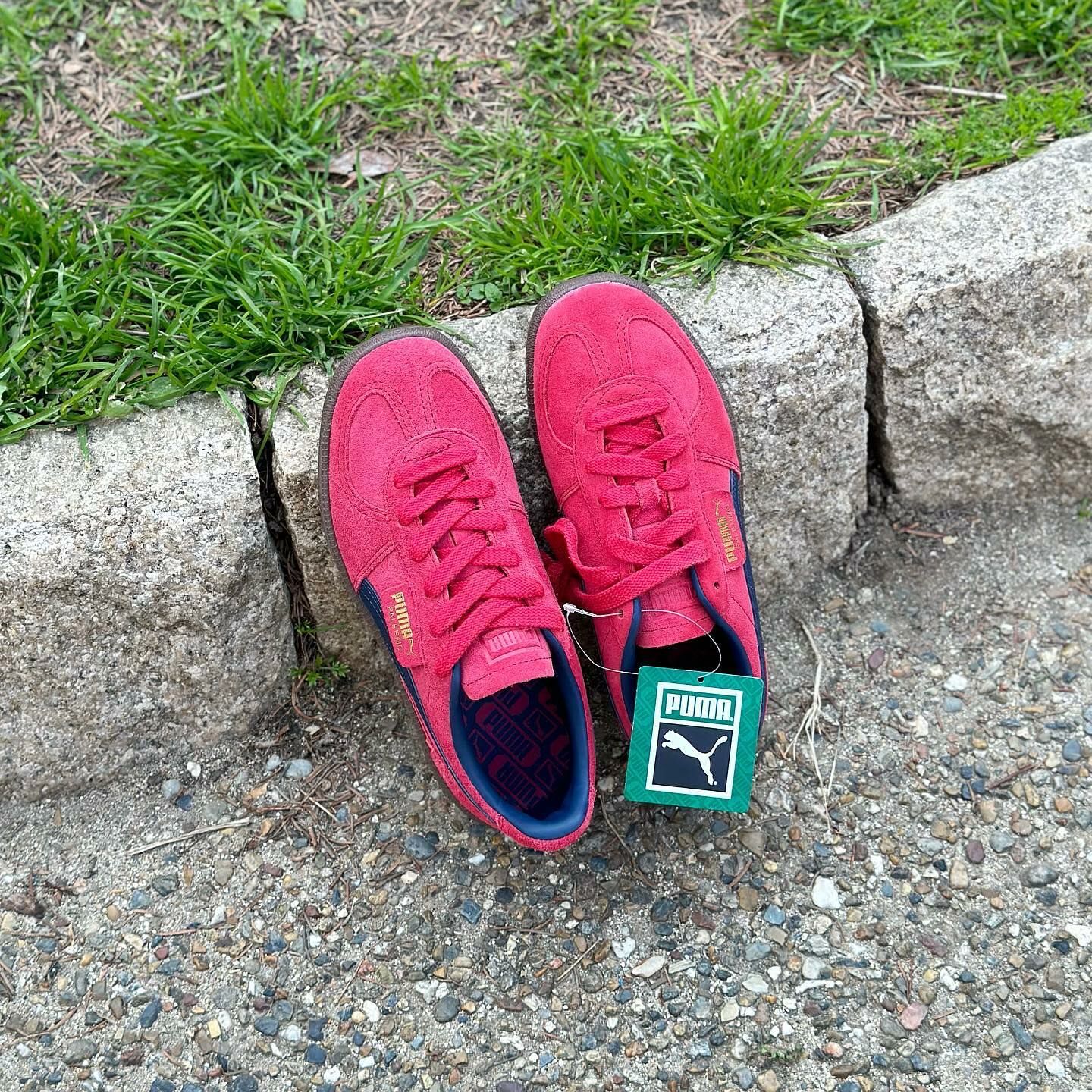 PUMA Palermo 日本新發售 勃根地酒紅 焦糖底 復古 德訓鞋 39646309