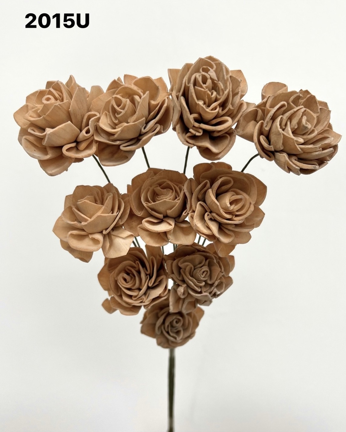 印度索拉大理花(3公分)-2015U