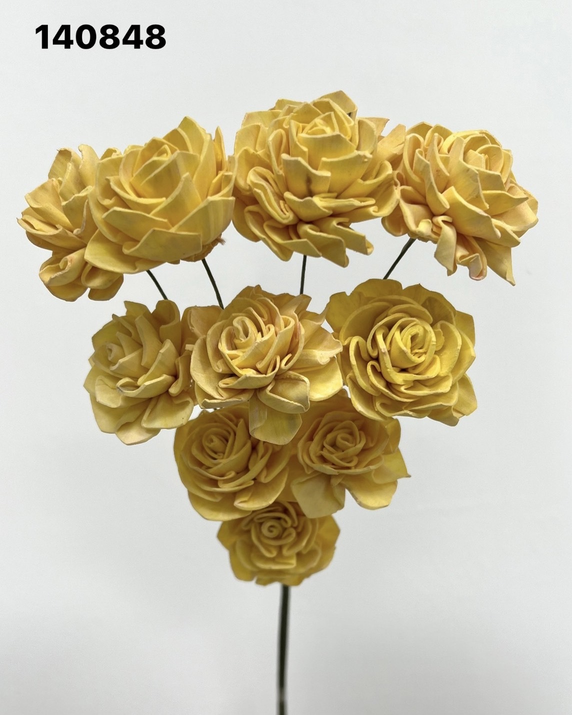 印度索拉大理花(3公分)-140848