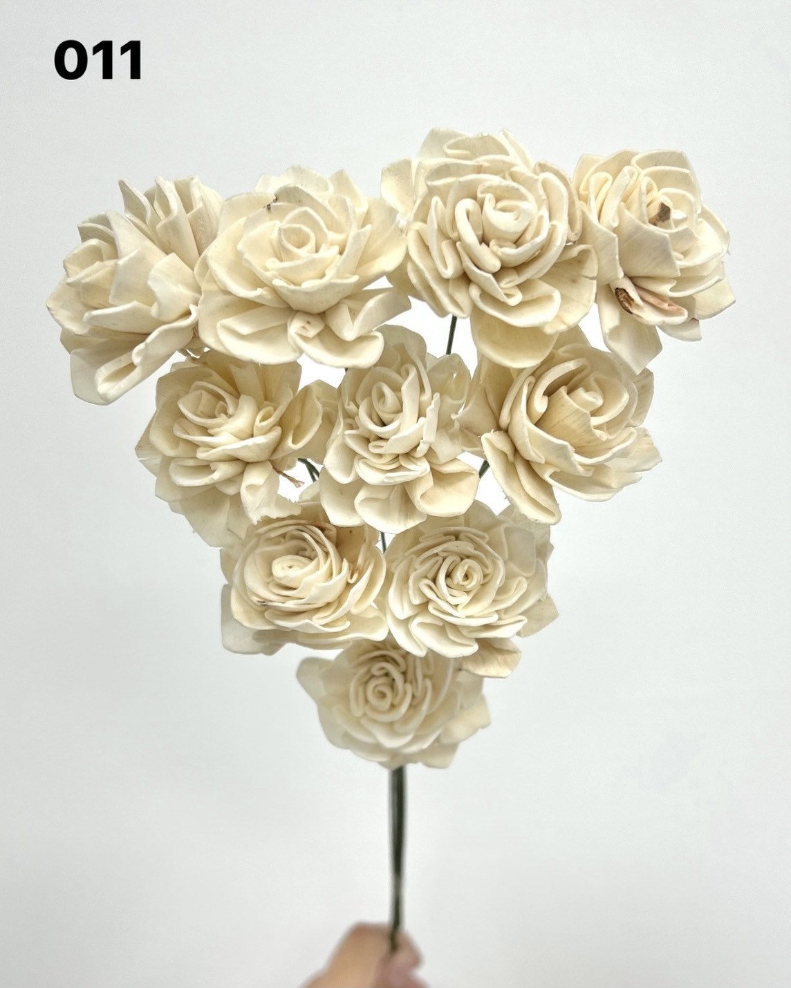 印度索拉大理花(3公分)-011