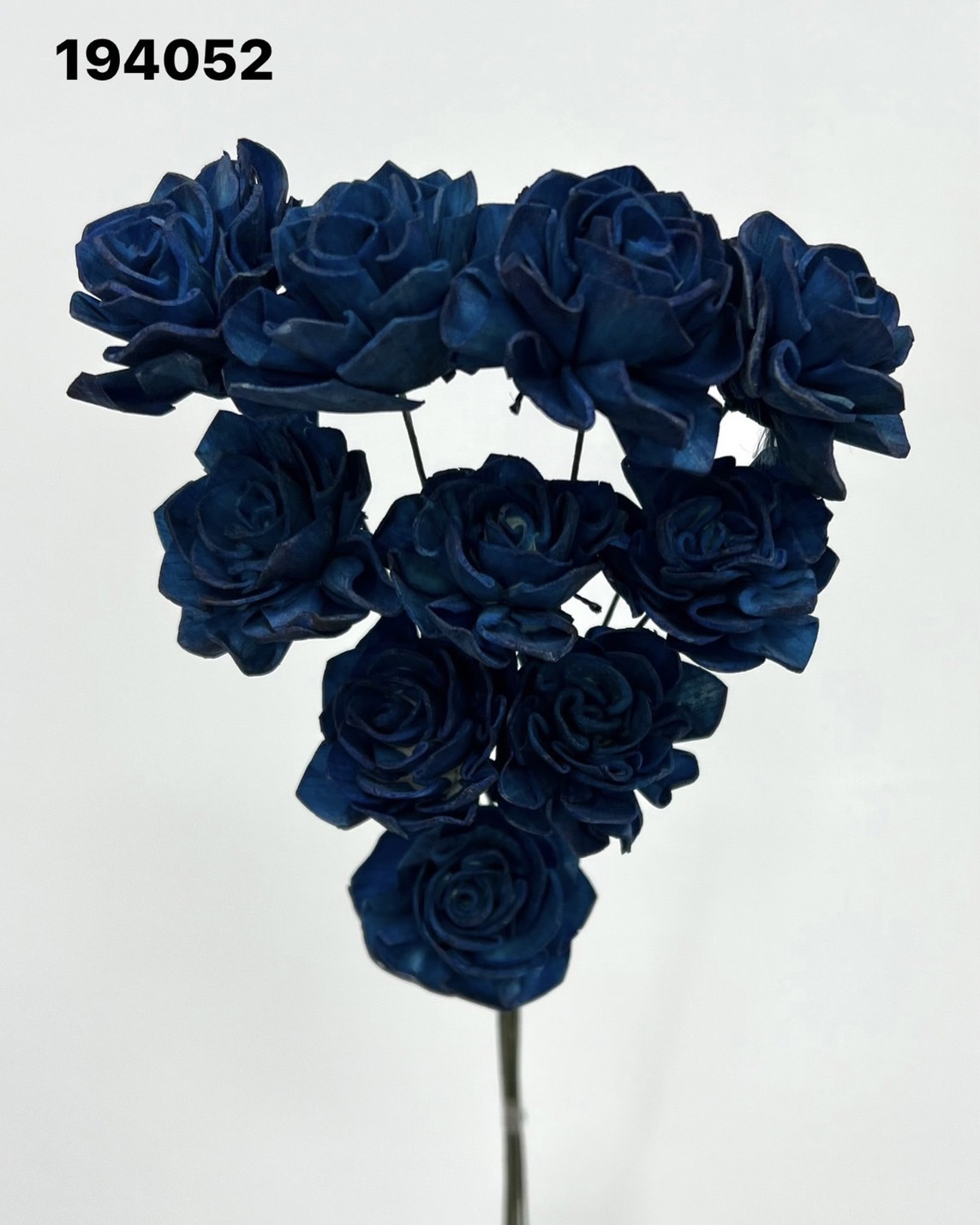 印度索拉大理花(3公分)-194052