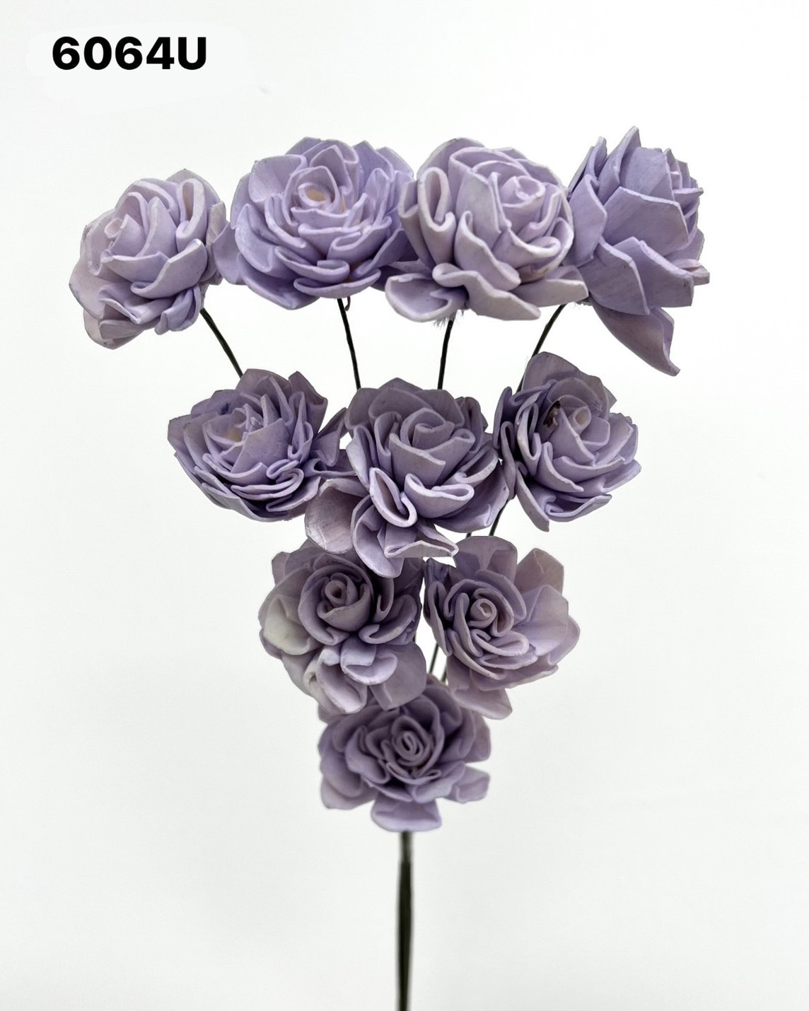 印度索拉大理花(3公分)-6064U