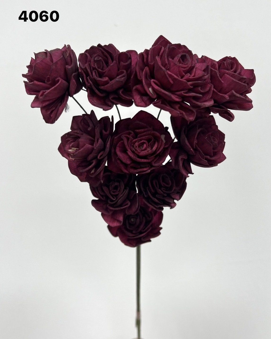 印度索拉大理花(3公分)-4060U