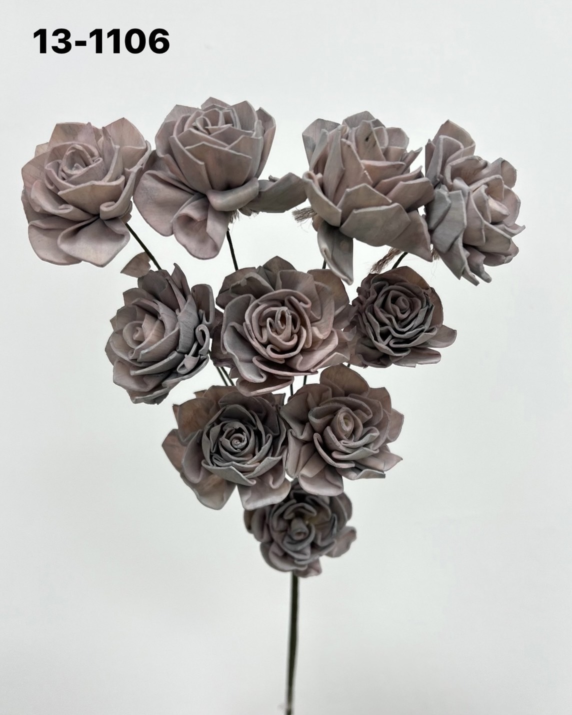 印度索拉大理花(3公分)-131106