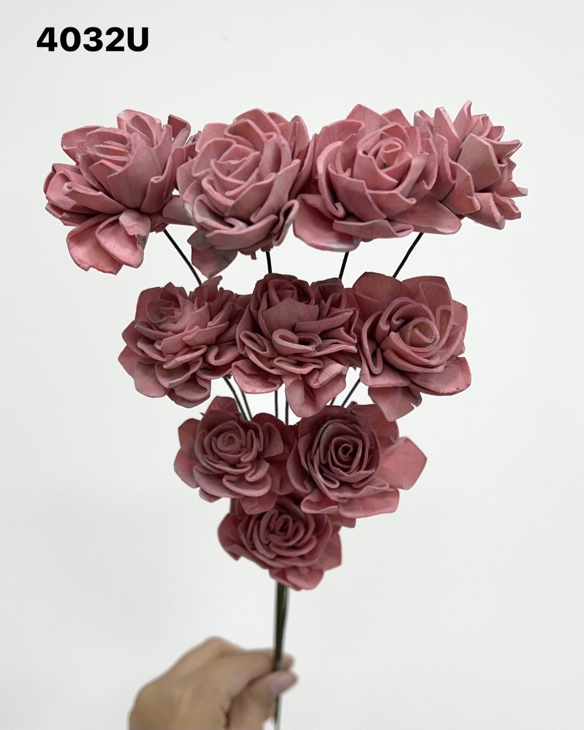 印度索拉大理花(3公分)-4032U