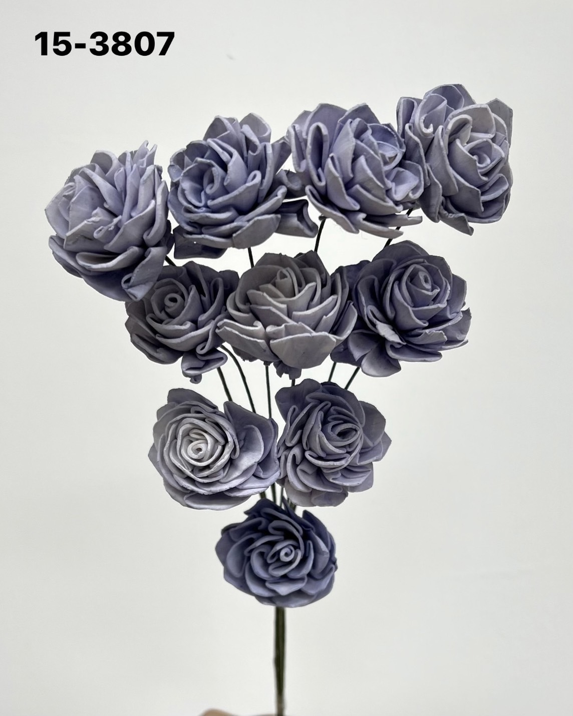 印度索拉大理花(3公分)-153807