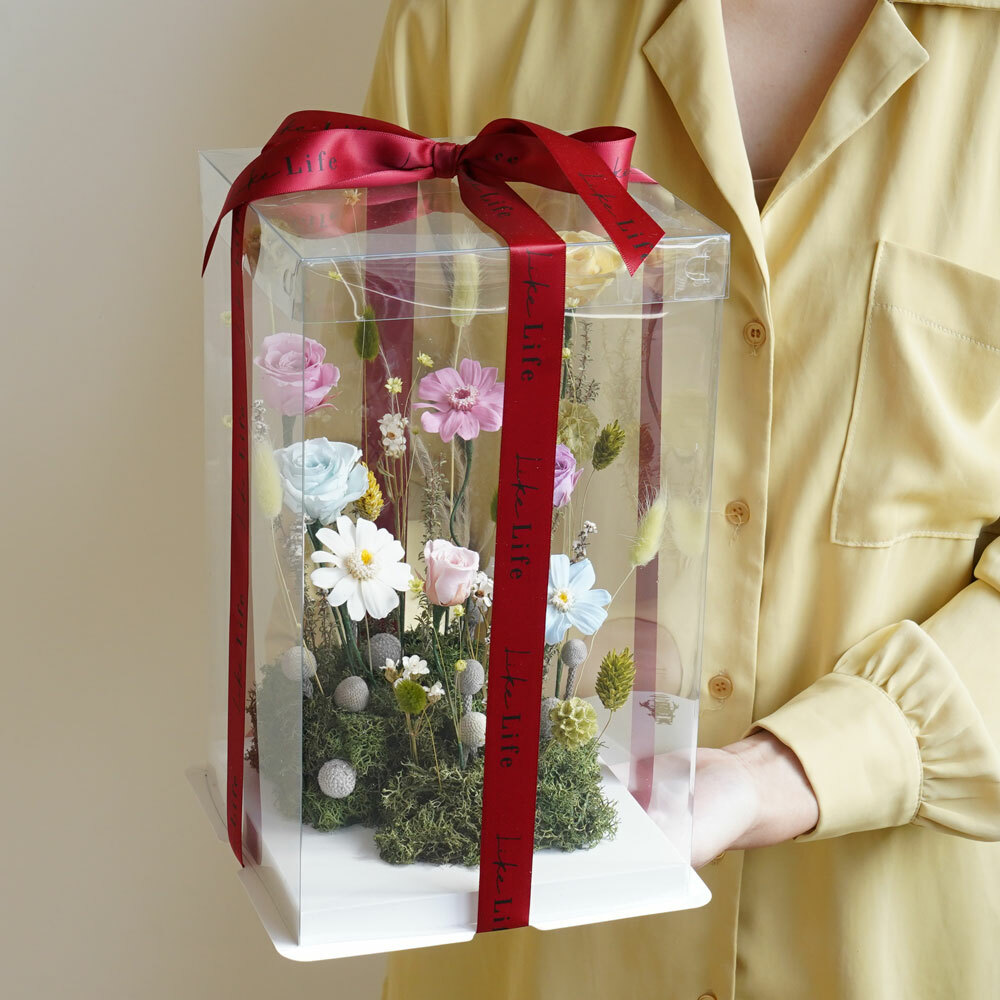 給愛麗絲的一封信,永生花盆花