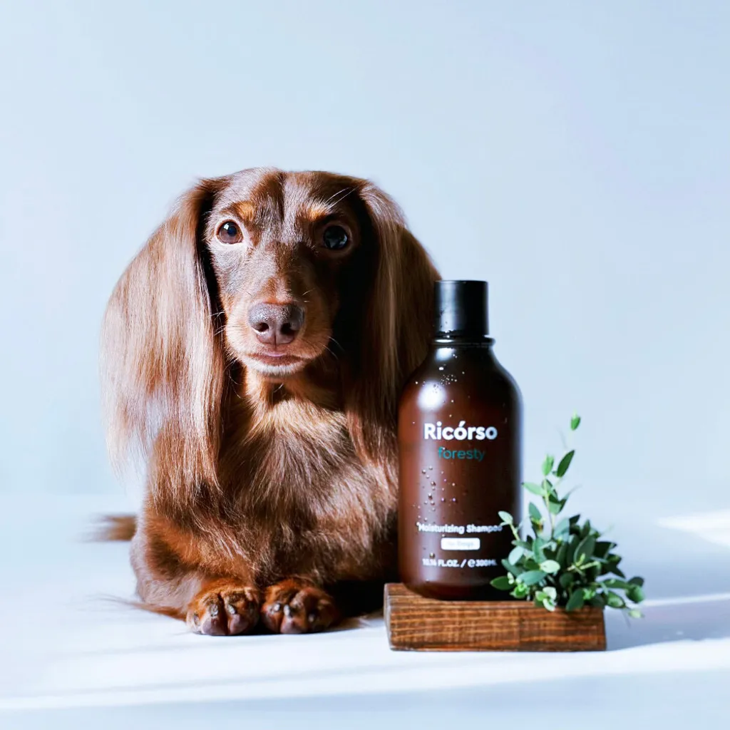 Ricórso - Foresty 森林保濕洗毛精