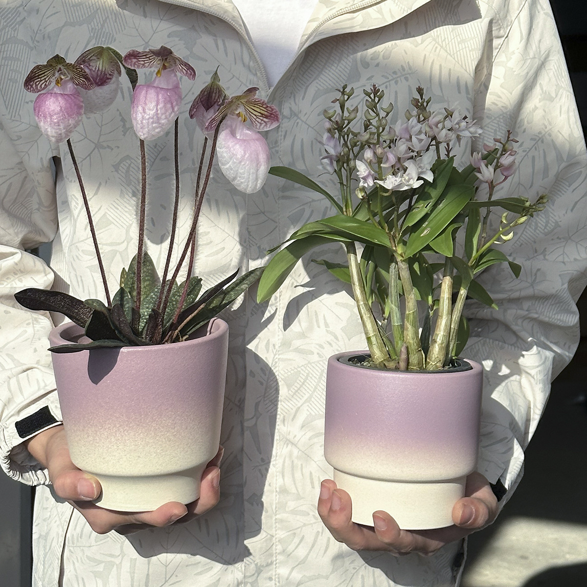 《3772》北歐浪漫紫色漸層花店盆栽