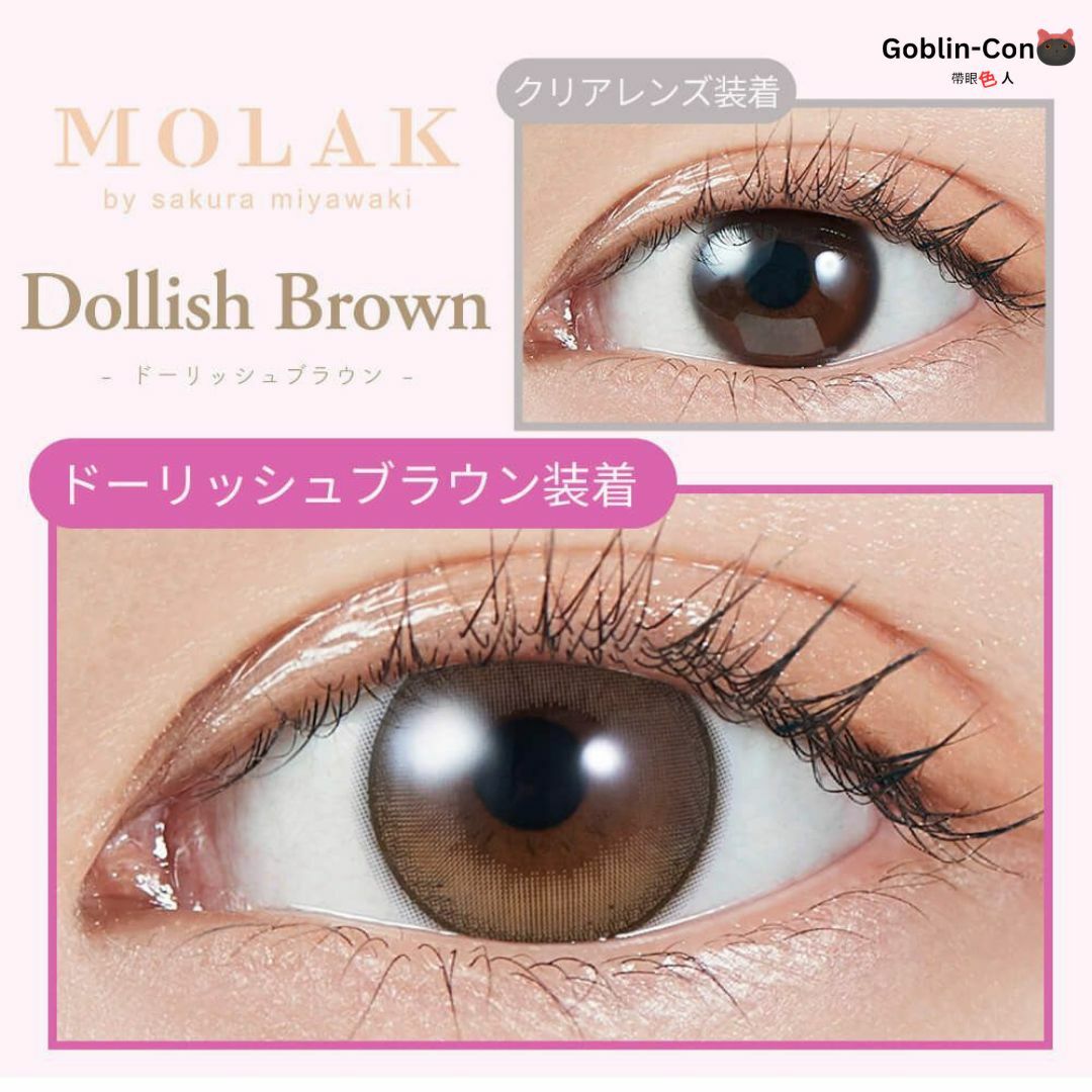 [日拋] MOLAK 1 DAY Dollish Brown 彩妝隱形眼鏡｜每盒10片