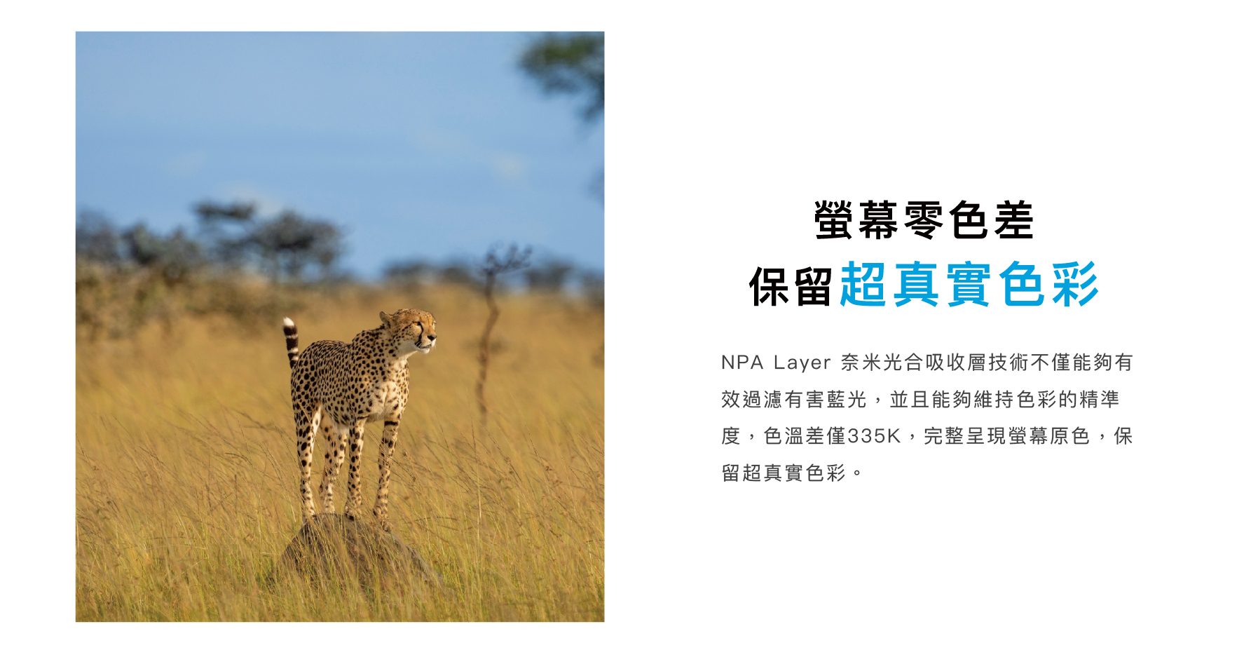 螢幕零色差保留最真實色彩｜NPA Layer 奈米光合吸收層技術不僅能夠有效過濾有害藍光，並且能夠維持色彩的精準度，色溫差僅335K，完整呈現螢幕原色，保留最真實色彩。