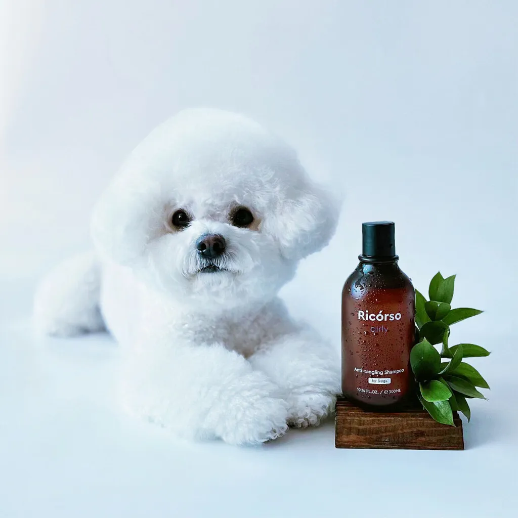 Ricórso - Airly 森林柔順洗毛精