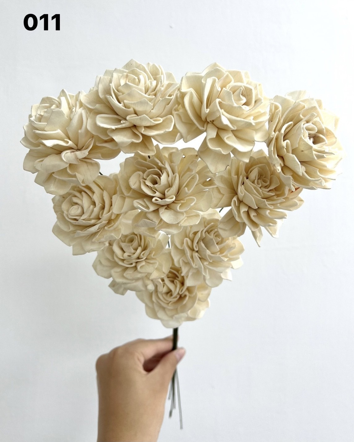 印度索拉大理花(5公分)- 011