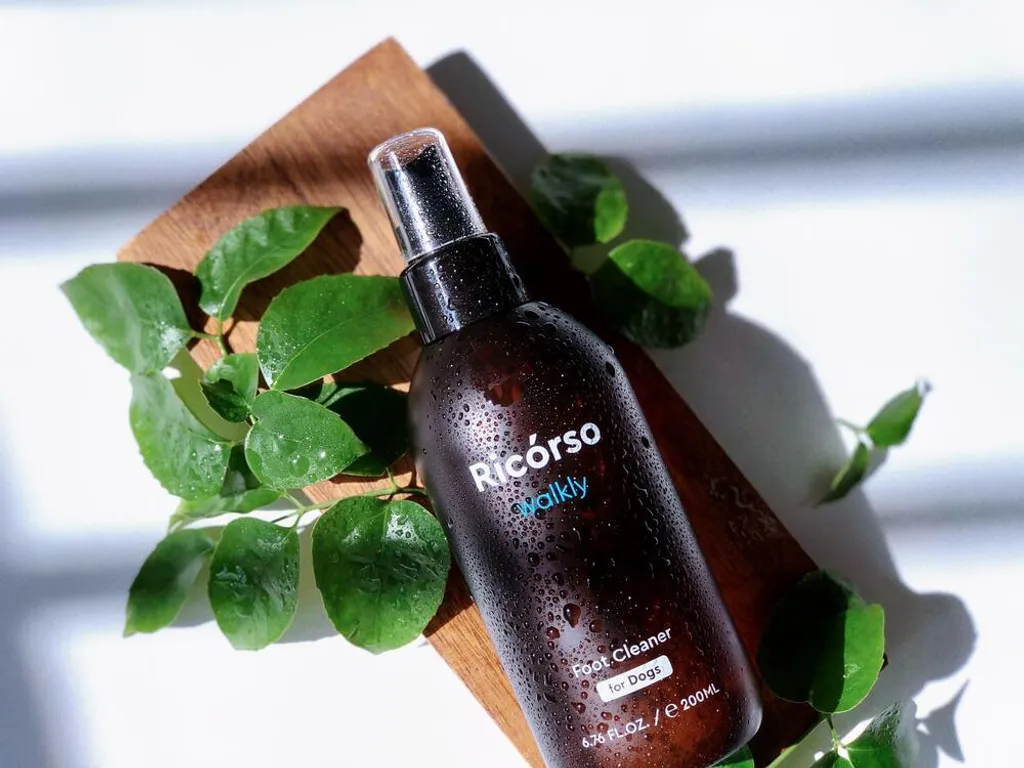 Ricórso -Walkly 足部乾洗噴霧