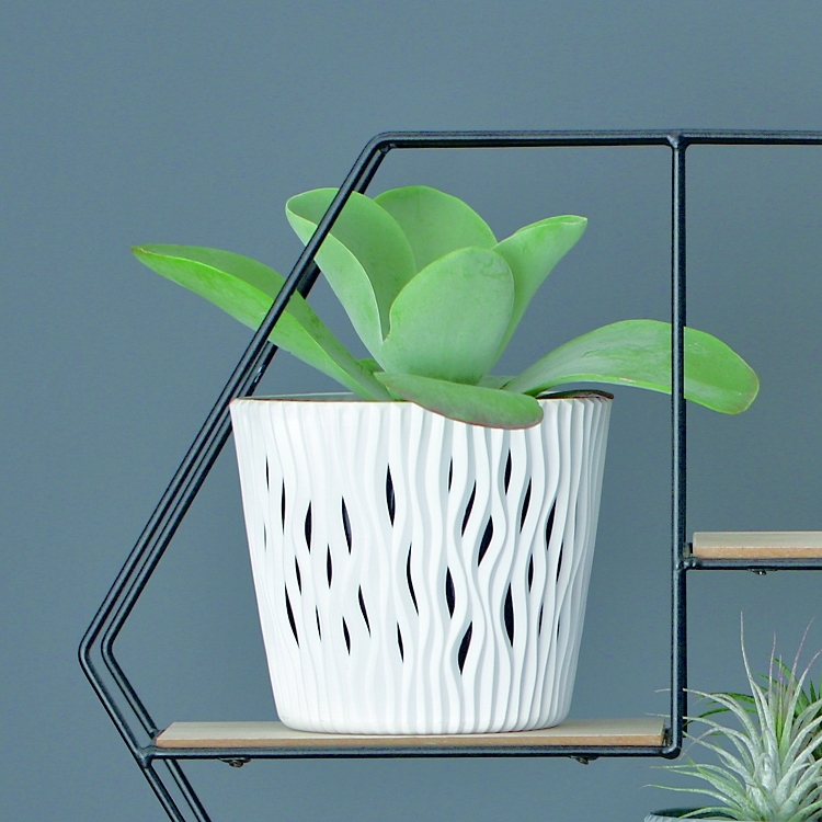 山蒂2in1圓盆(16)