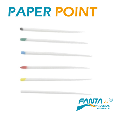 Fanta - Paper point 有刻度紙針