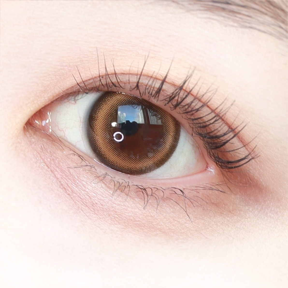 [半年拋][散光] Lensme Torica 6 Month Eye Four Cat Brown 隱形眼鏡｜1片