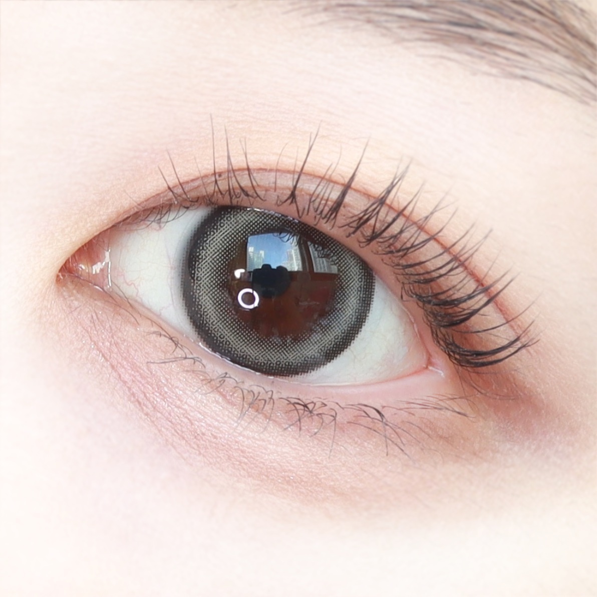 [半年拋][散光] Lensme Torica 6 Month Eye Four Cat Gray 隱形眼鏡｜1片