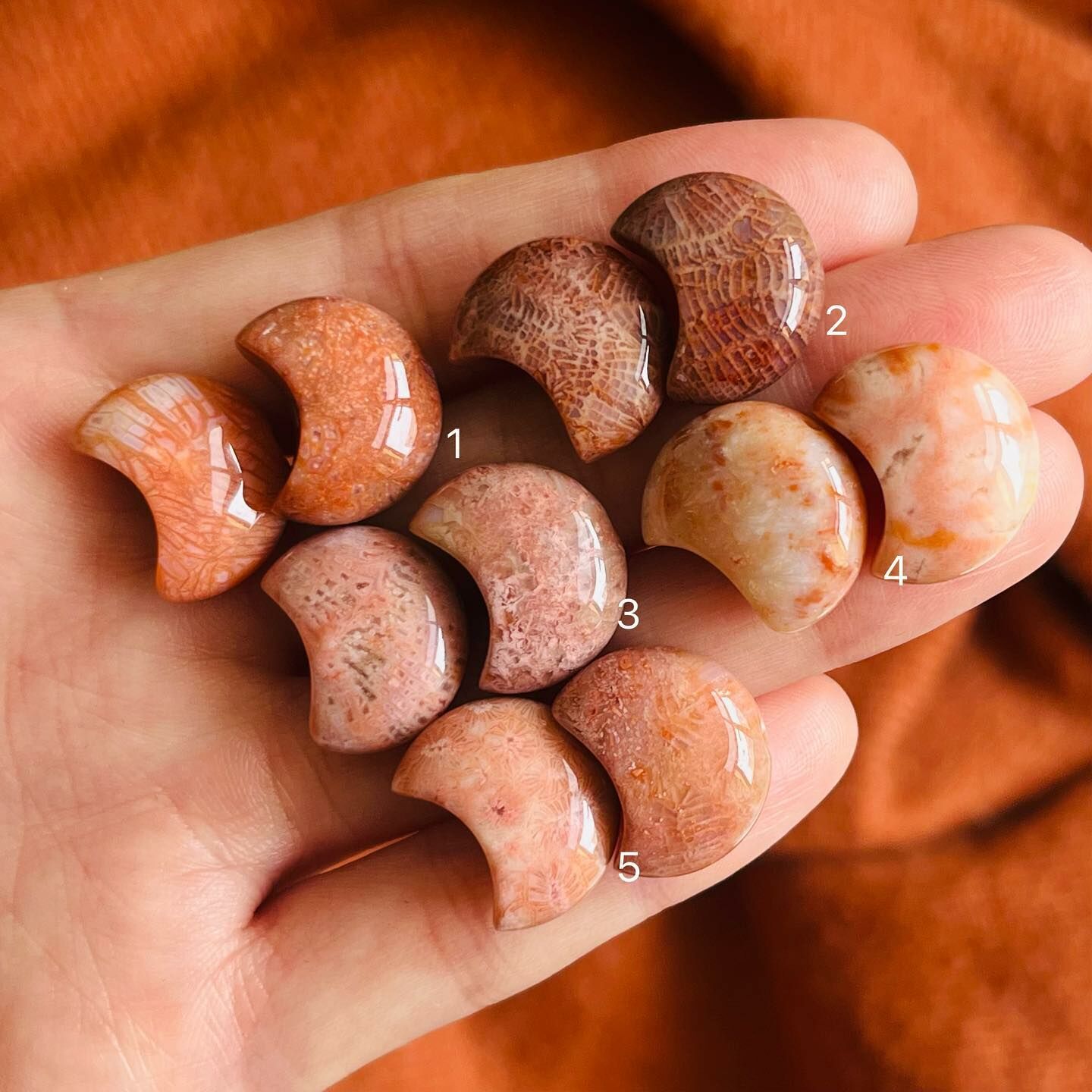 [原石] 珊瑚玉 水晶耳環