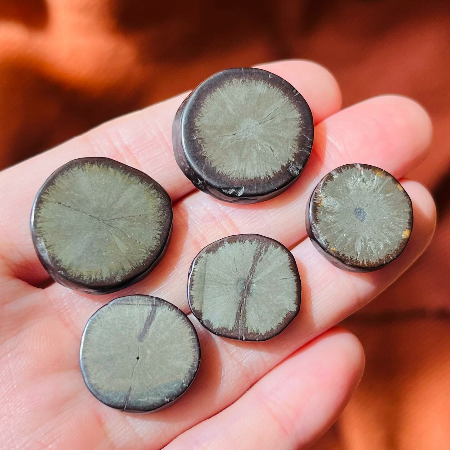 [原石] 黃鐵礦片