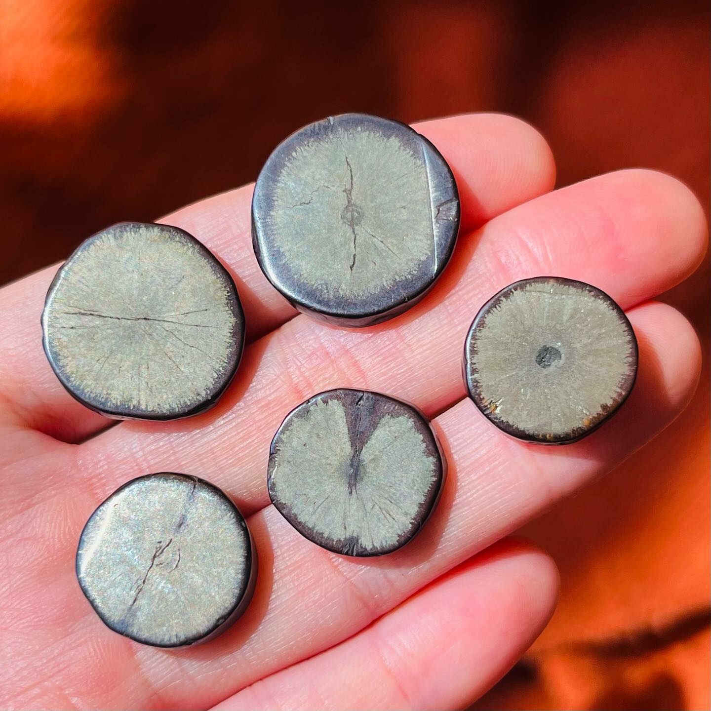 [原石] 黃鐵礦片