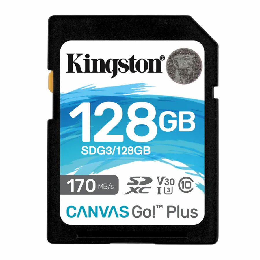 【Kingston金士頓】Canvas GO Plus SDXC 記憶卡 讀170 寫90