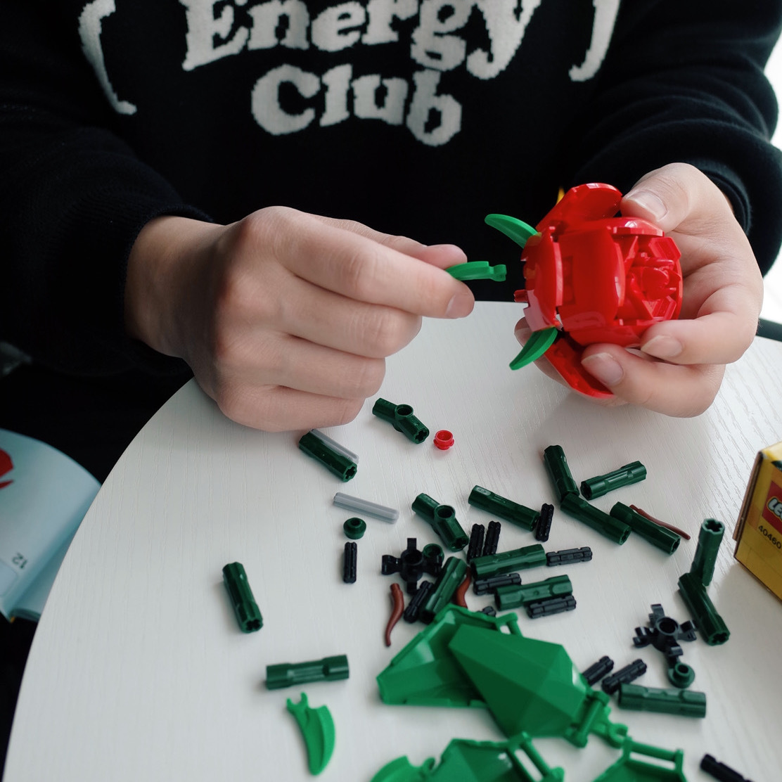 LEGO 樂高 40460 玫瑰花 紅玫瑰 情人節 2支 花藝系列 / 現貨