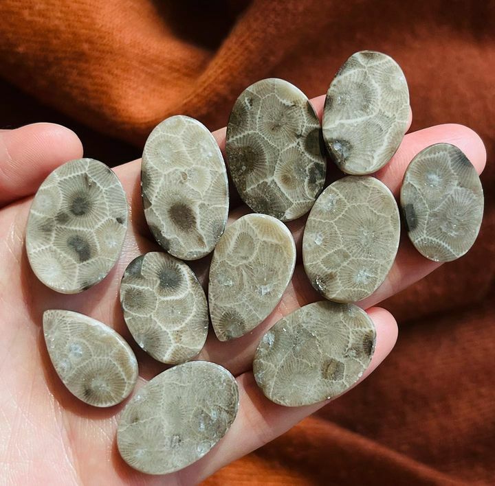 [原石] 珊瑚化石 水晶蛋面