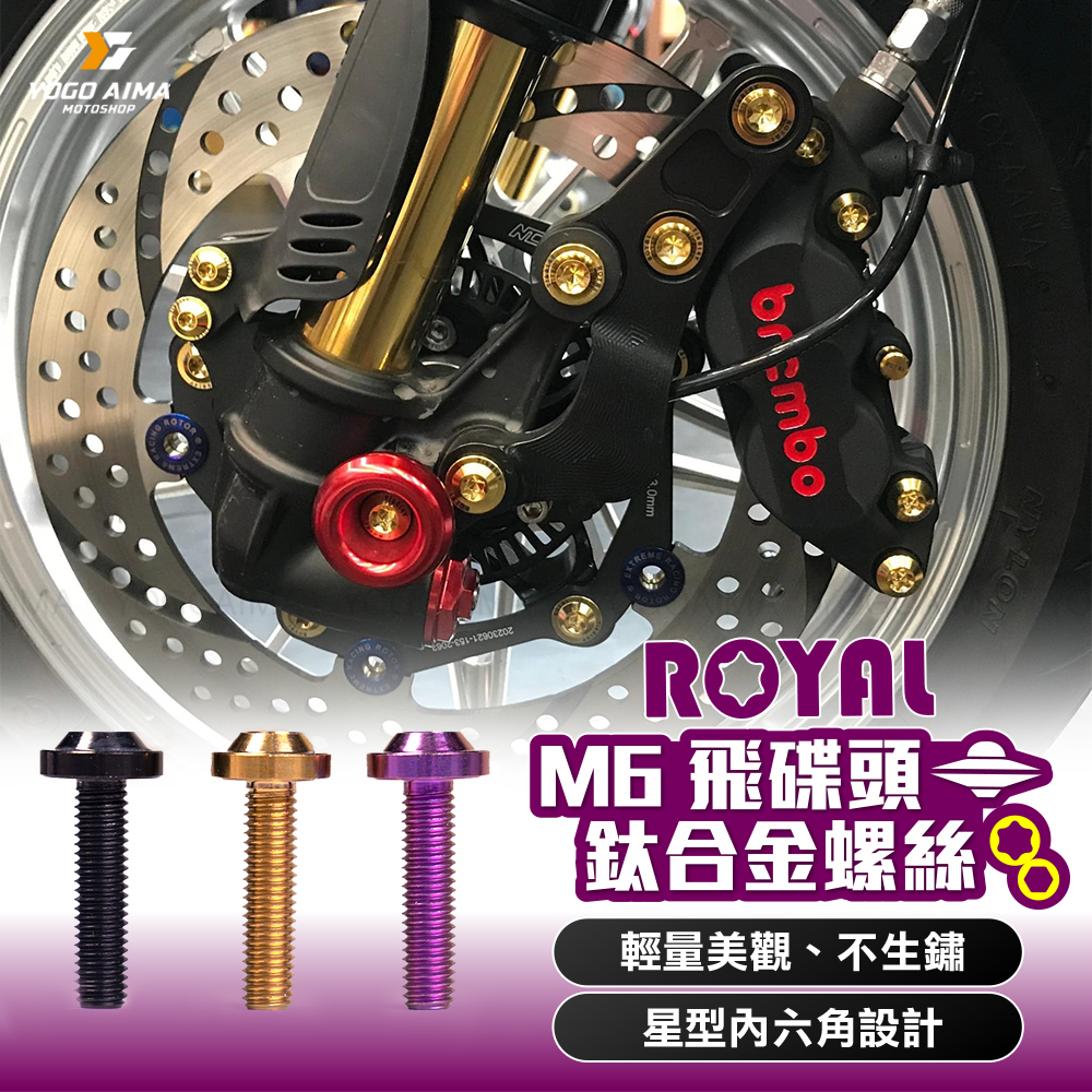 ROYAL  鈦螺絲 M6 飛碟頭