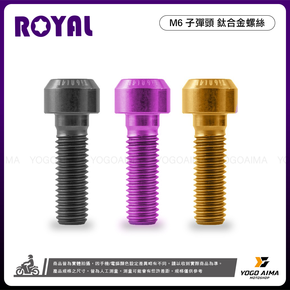 ROYAL  鈦螺絲 M6 子彈頭
