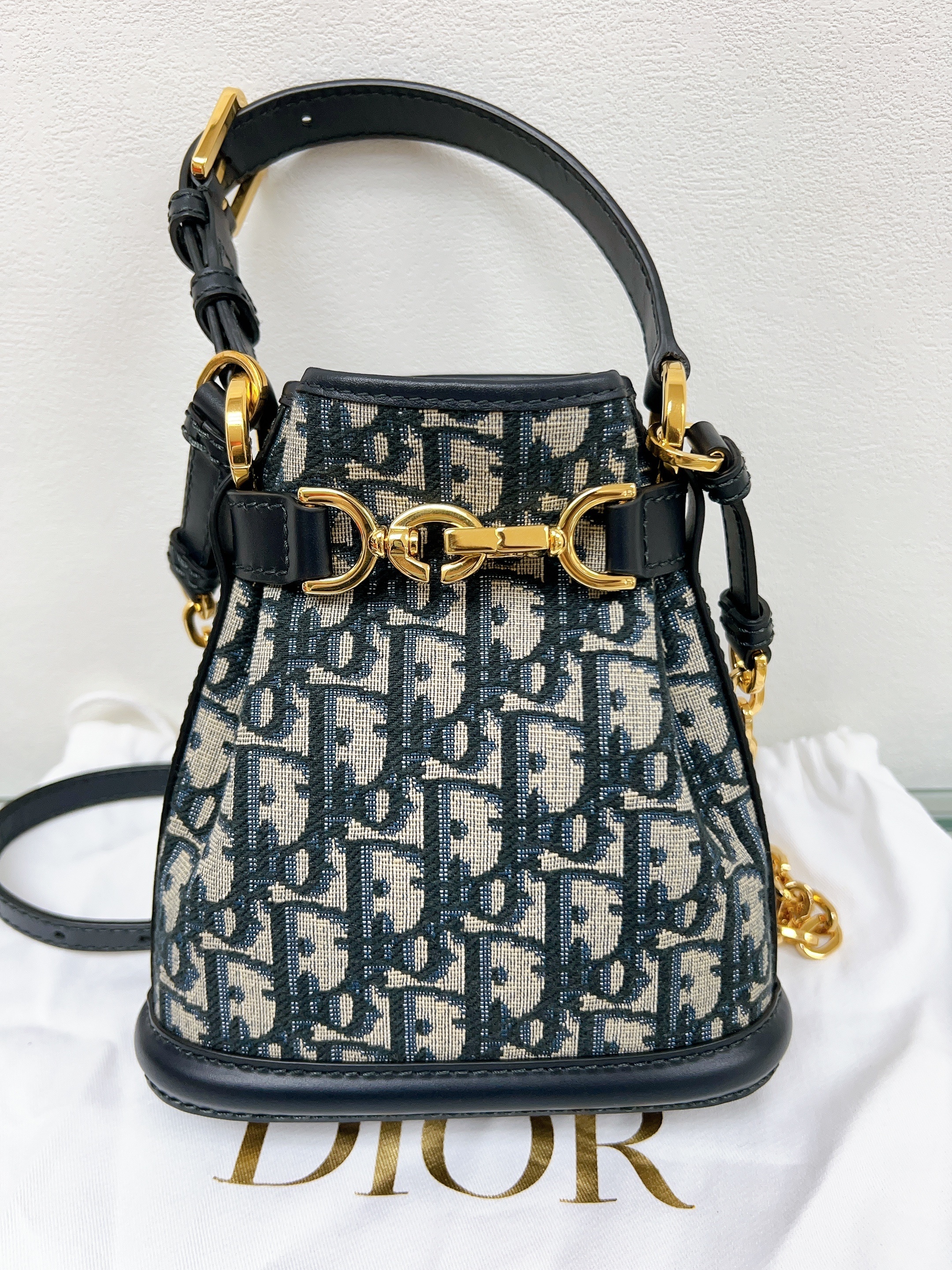 Dior C’est dior bucket bag small (blue oblique)