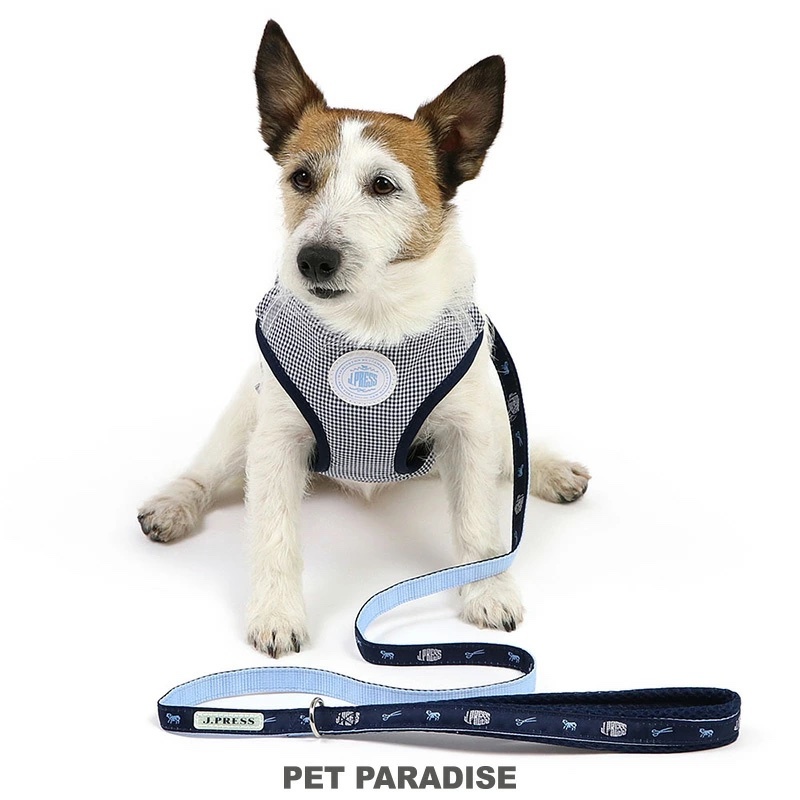 【Pet Paradise】J.Press Gingham Check Harness & Lead <408-14995>