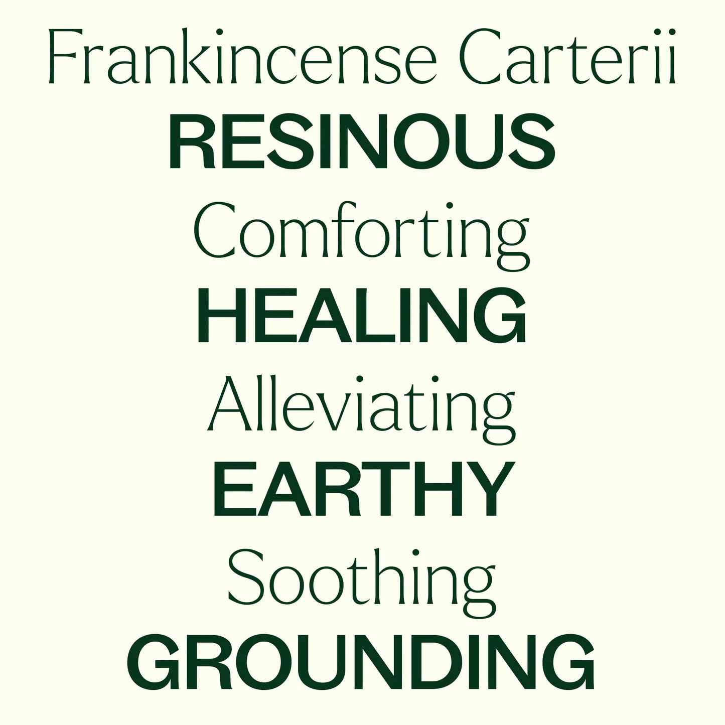 美國 Plant Therapy 有機阿拉伯乳香  Frankincense Carterii 精油（兒童安全）- 10ml / 30ml