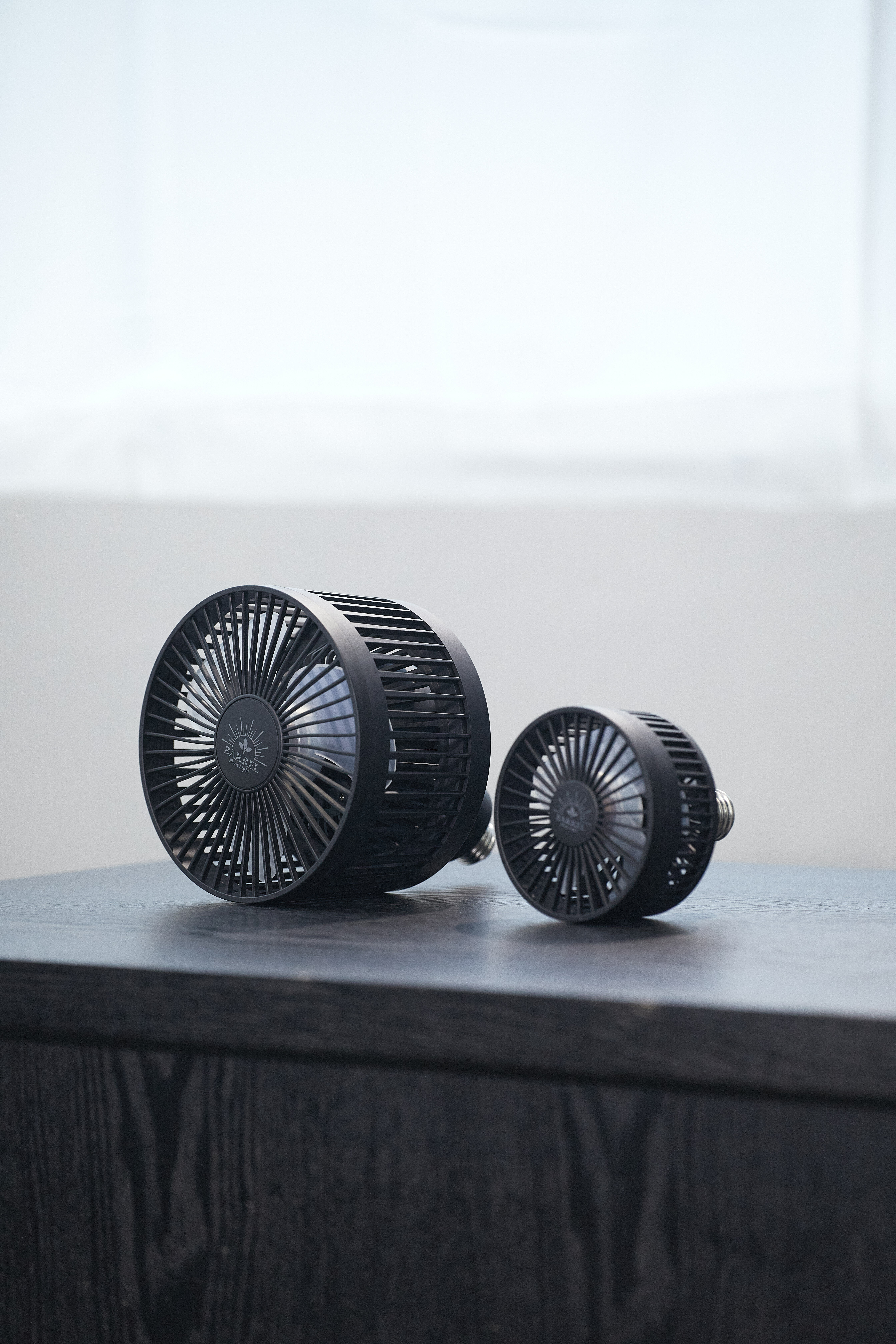 2代進階版 — Aechmea 日本植物風扇