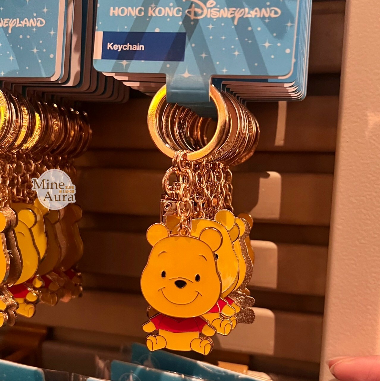 小熊維尼 Winnie the Pooh 搖擺設計 鑰匙圈 吊飾 -香港迪士尼樂園